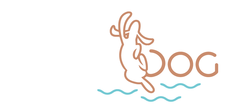 My Beach Dog